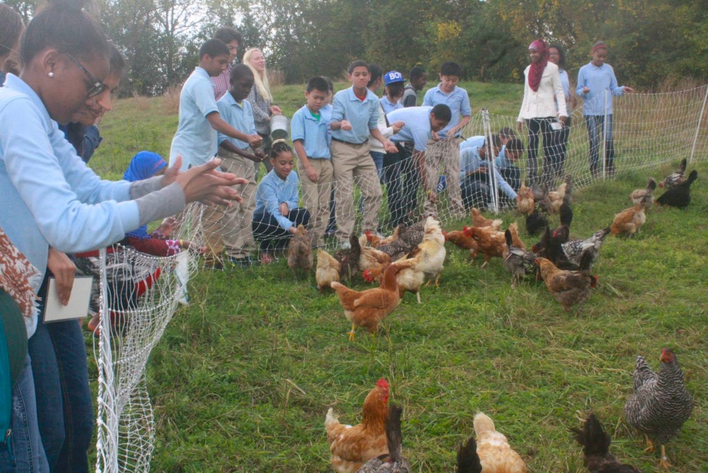 Hosting theMOVE students at the farm (2014)