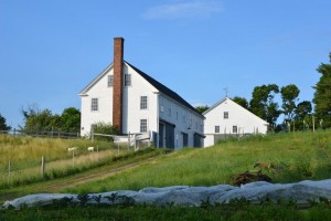 DSC_5175 - Web