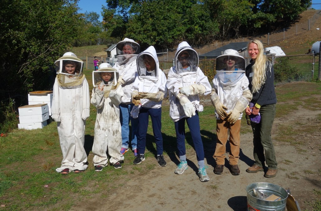 Plasmabots gear up for opening a hive