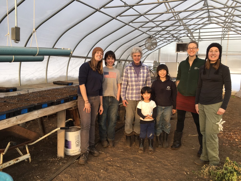 Greenhouse_seeding