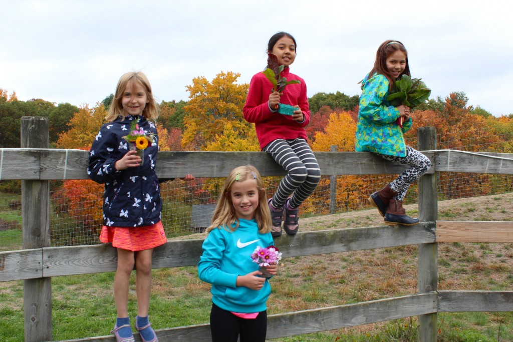 Fall after school harvest (Rebekah Carter 2016)