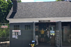 Farm Stand & Markets