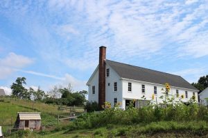 How you can Support WLF during COVID-19
