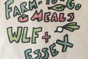 Farm Stand & Markets