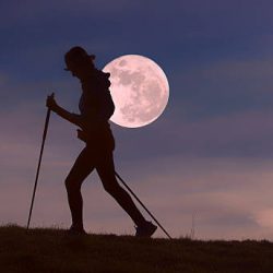 Girl in silhouette with hat makes Nordic walking in full moon
