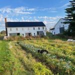 Upcoming at Wright-Locke Farm