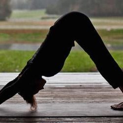 farm yoga farm yoga