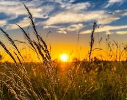 summer solstice summer solstice